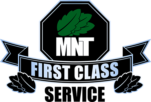 MNT Grading ORIGINAL PLAN (1-10 cards)