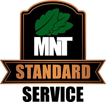 MNT Grading ORIGINAL PLAN (1-10 cards)