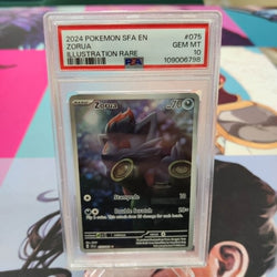Graded- 2024 SFA Zorua PSA GEM MT 10
