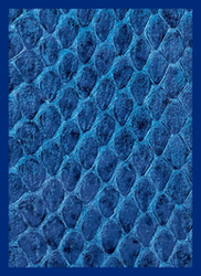 Sleeves- LEGION GLOSS SLEEVE DRAGON HIDE- Assorted 50 count