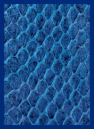 Sleeves- LEGION GLOSS SLEEVE DRAGON HIDE- Assorted 50 count