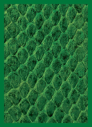Sleeves- LEGION GLOSS SLEEVE DRAGON HIDE- Assorted 50 count