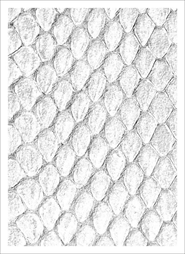 Sleeves- LEGION GLOSS SLEEVE DRAGON HIDE- Assorted 50 count