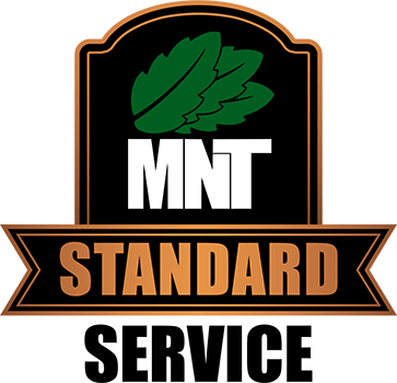 MNT Grading ADVANCED PLAN PLAN (11-25 cards)